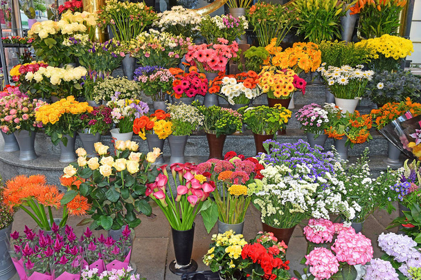 sale of colorful decorative flowers in a flower stall on the street in Vienna - Photo, Image