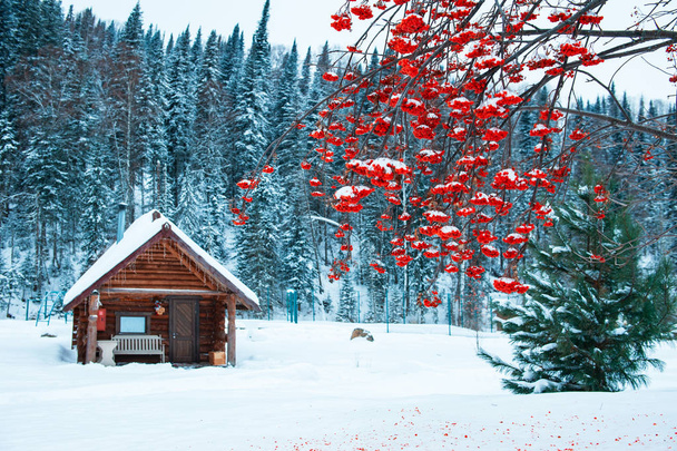 Casa vacanza invernale nella foresta
. - Foto, immagini