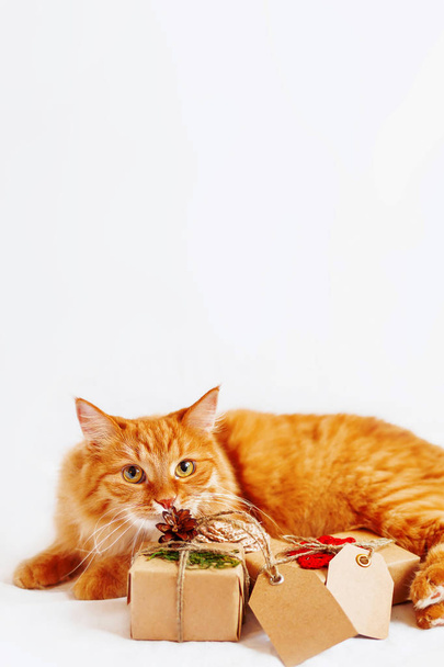 Cute ginger cat sniffing stack of Christmas presents on white background. New Year gifts wrapped in craft paper with copy space tags. - Valokuva, kuva