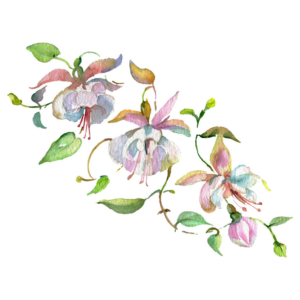 Bouquet floral botanical flowers. Watercolor background illustration set. Isolated bouquet illustration element. - Photo, image