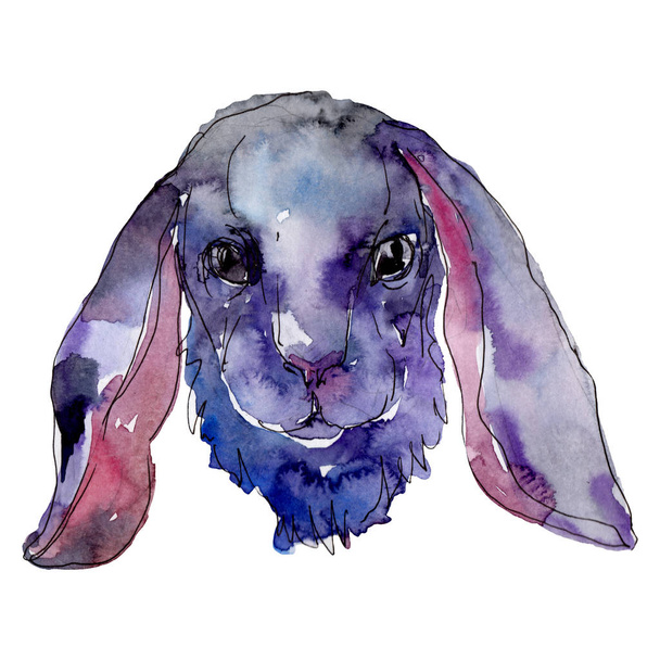 Kaninchenkopf Nutztier isoliert. Aquarell Hintergrundillustration Set. isolierte Kaninchen Illustrationselement. - Foto, Bild