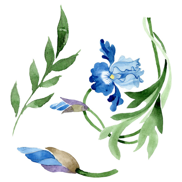 Ornamento flores botânicas florais. Conjunto de ilustração de fundo aquarela. Isolado elemento ilustração flor
. - Foto, Imagem
