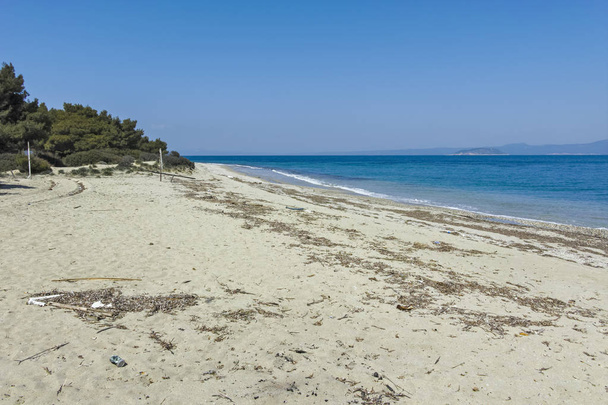 カサンドラ半島のゼニアゴールデンビーチ、チャルキディキ, - 写真・画像