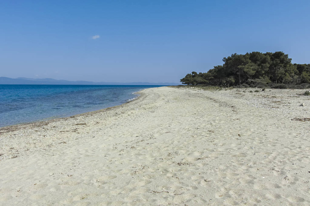 Spiaggia Laguna nella penisola di Kassandra, Calcidica, Grecia
 - Foto, immagini