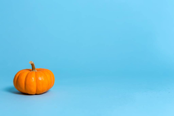 An autumn pumpkin - Фото, изображение