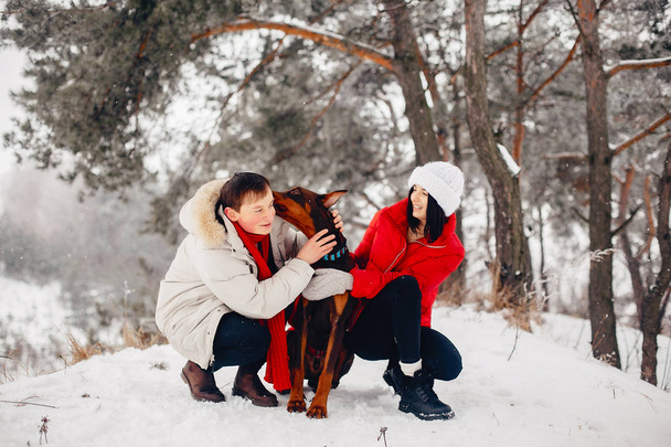 Loving couple walking in a winter park - Foto, immagini