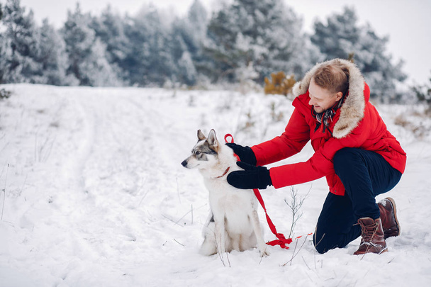 Beautiful woman playing with a dog - Foto, Bild