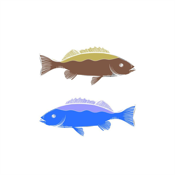 риба-барракуди в морі Векторний логотип та ілюстрація
 - Вектор, зображення
