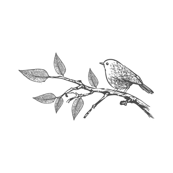 simple bird in the branch hand draw style logo and vector illustration - Vektori, kuva