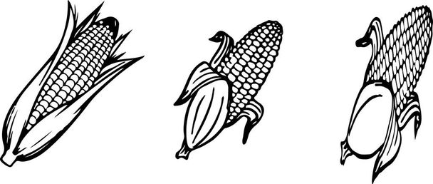 corn icon on color background - Vector, Image