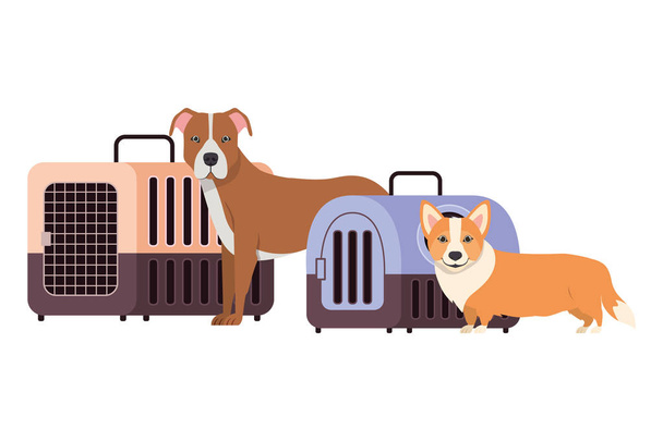 dogs and pet transport boxes on white background - Vector, Image