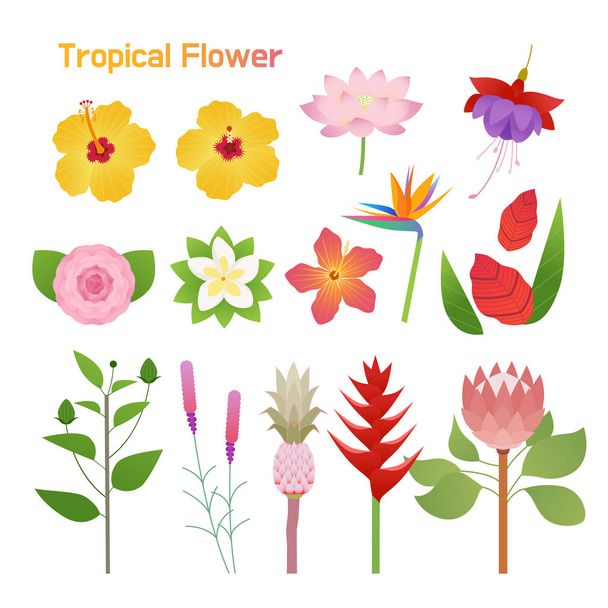 Design de conjunto único de flores tropicais. design plano estilo mínimo vetor ilustração
. - Vetor, Imagem