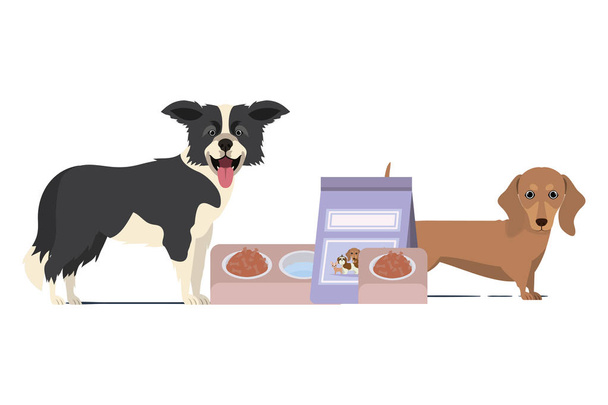 beyaz arka plan üzerinde kase ve evcil hayvan gıda ile köpekler - Vektör, Görsel
