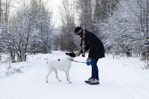 Young woman is playing with her black-white dog on a walk in winter forest. - Foto, immagini