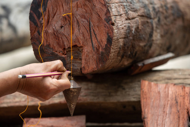 The carpenter who is using the wood measuring tool. - Valokuva, kuva