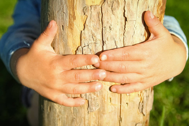 children's hands hold a stump in the park in nature - 写真・画像