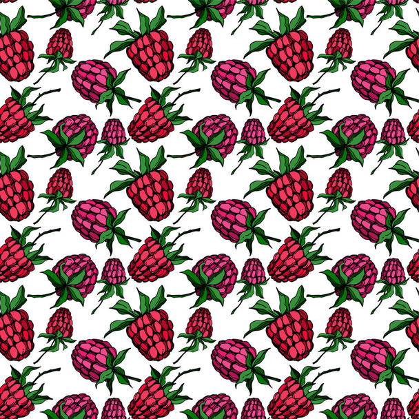 Vector Raspberry healthy food isolated. Black and white engraved ink art. Seamless background pattern. - Vector, Image