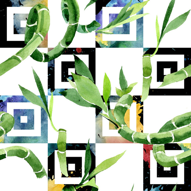 Green Draceana Sanderiana. Watercolor background illustration set. Seamless background pattern. - Foto, immagini