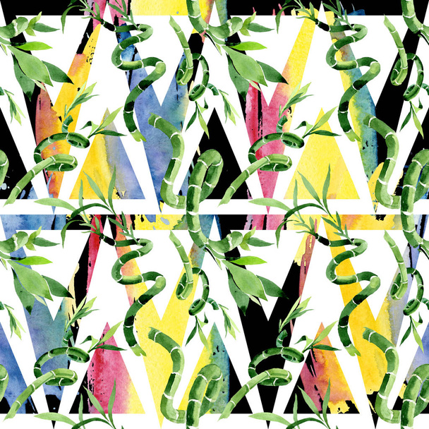 Zöld Draceana sanderiana. Akvarell háttér illusztráció meg. Folytonos háttérmintázat. - Fotó, kép
