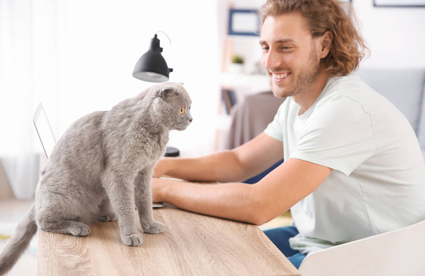 Mann mit süßer lustiger Katze arbeitet zu Hause - Foto, Bild