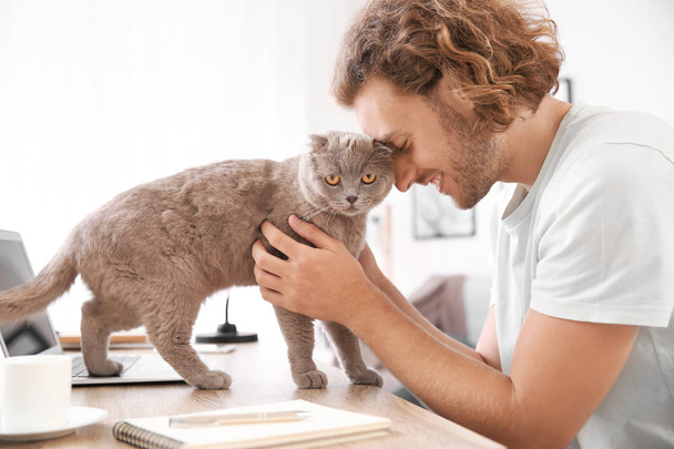 Man stroking cute funny cat while working at home - Photo, Image