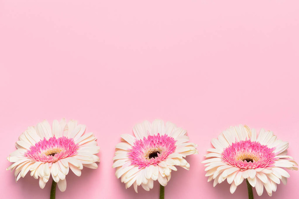 Lindas flores de gerbera no fundo de cor
 - Foto, Imagem