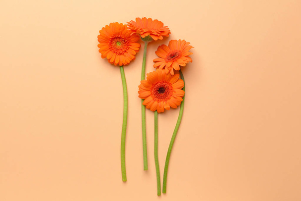 Beautiful gerbera flowers on color background - Foto, immagini
