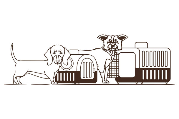 白い背景に犬やペット輸送ボックスのシルエット - ベクター画像