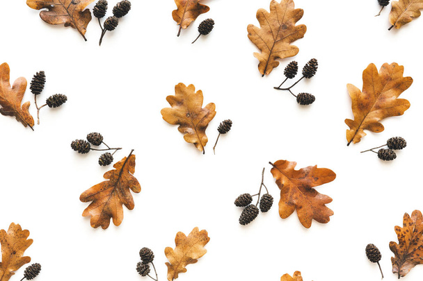 Patrón de otoño de marco completo hecho de hojas y conos de roble seco
 - Foto, Imagen