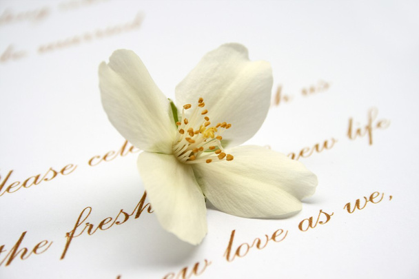 Carta de amor - Foto, Imagen