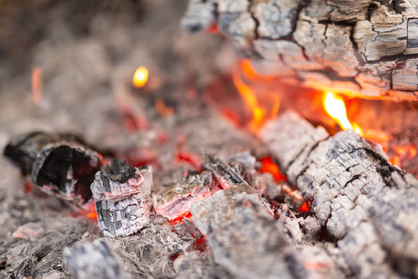 Igniting the fire in the forest for camping. - Fotoğraf, Görsel