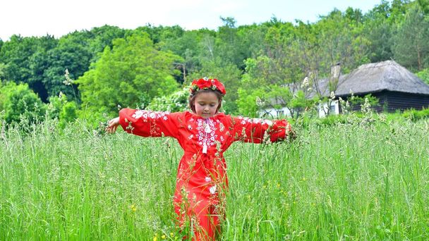 Portret van Oekraïens mooi meisje in vyshivanka in het groene gebied van tarwe. oude molen achtergrond. Concept van nationale tradities - Foto, afbeelding