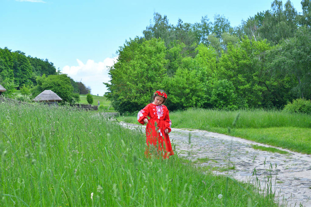 portrét ukrajinské krásné dívky v vyshivance v zelené oblasti pšenice. Pojetí národních tradic - Fotografie, Obrázek