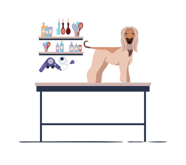 собака на парикмахерском столе с белым фоном
 - Вектор,изображение