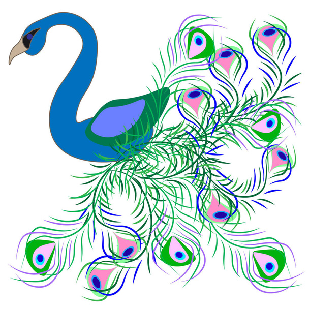 Abstract fantasy peacock with beautiful feathers. - Vector, Imagen