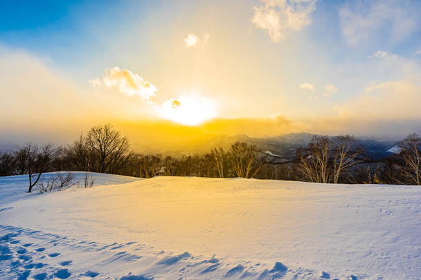 Bellissimo paesaggio con montagna intorno all'albero nella neve mare invernale
 - Foto, immagini