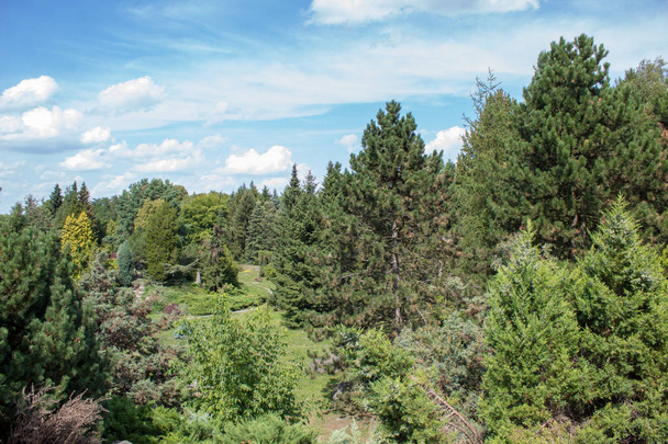Les paysages colorés du Jardin botanique européen - arbres à feuilles caduques et conifères, montagnes de pierre, fleurs sauvages et herbe verte. Excellent endroit pour marcher
. - Photo, image