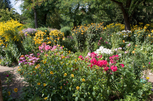 Florecientes flores silvestres de colores de verano en los hermosos rincones del jardín botánico en Europa
. - Foto, Imagen