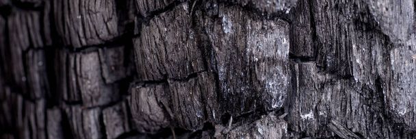 Panoramic black coal background. Wood charcoal texture. Burnt tree - Фото, изображение