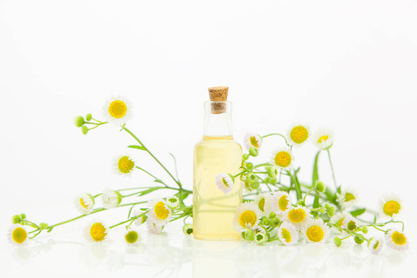 Essence of flowers on table in beautiful glass bottle - Photo, image