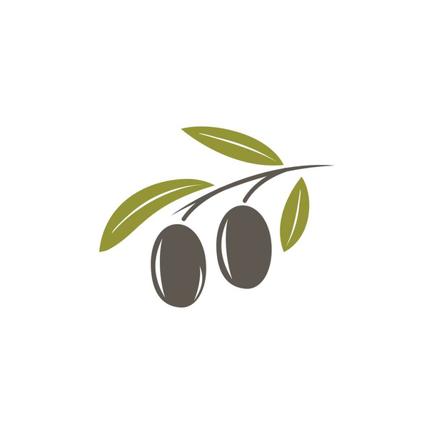 olive icon vector illustration - Vector, Image