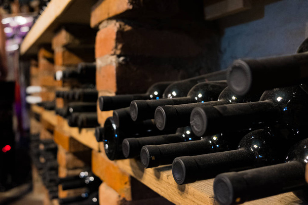 Bottles of wine in a cellar, selective focus. - Photo, Image