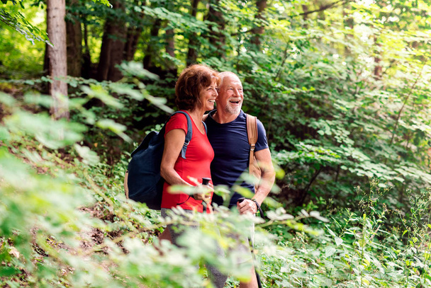 Couple touriste sénior avec sacs à dos sur une promenade en forêt dans la nature
. - Photo, image