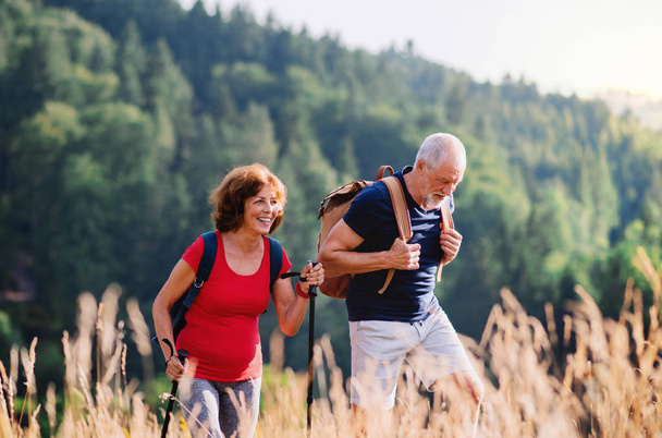 Senior tourist couple travellers hiking in nature, walking and talking. - Foto, Imagem