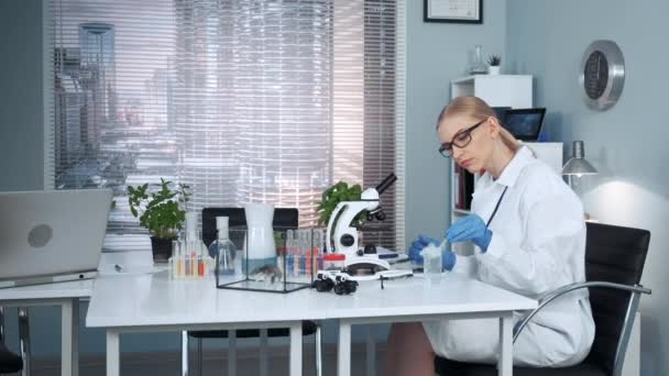 In modern chemistry lab female research scientist using pipette - Filmati, video
