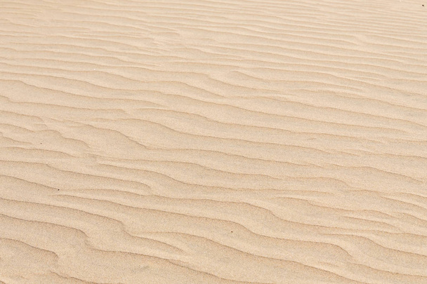 dunas de arena vista de fondo
 - Foto, imagen