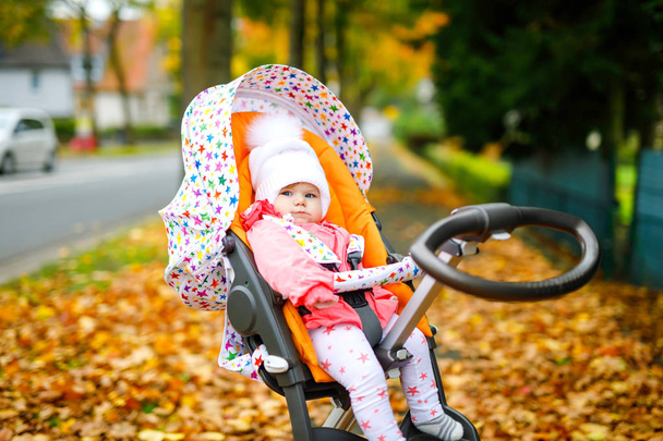 Cute little beautiful baby girl sitting in the pram or stroller on autumn day. Happy healthy child going for a walk on fresh air in warm clothes. Baby with yellow fall maple trees in colorful clothes - Photo, Image