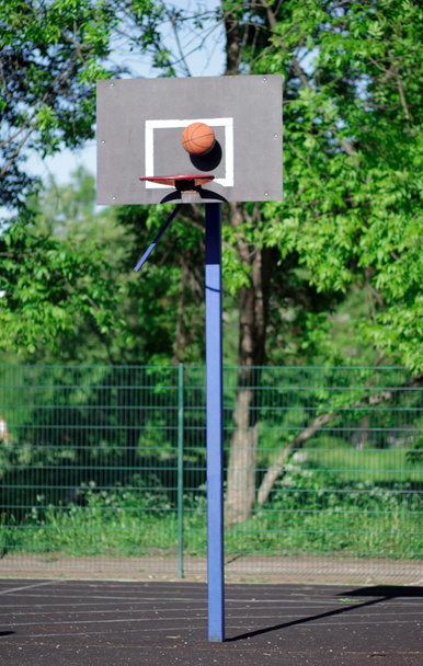 Basketball. - Valokuva, kuva