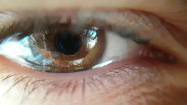 brown eye of a woman macro closeup - Footage, Video