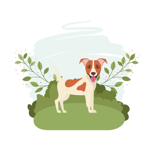 милый Джек Рассел передний пес с фоновым пейзажем
 - Вектор,изображение
